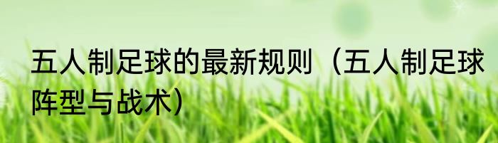 五人制足球的最新规则（五人制足球阵型与战术）