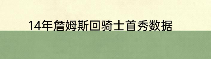 14年詹姆斯回骑士首秀数据