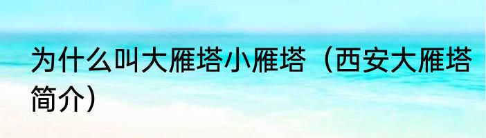 为什么叫大雁塔小雁塔（西安大雁塔简介）