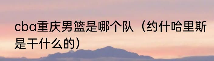 cba重庆男篮是哪个队（约什哈里斯是干什么的）