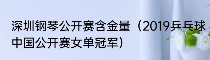 深圳钢琴公开赛含金量（2019乒乓球中国公开赛女单冠军）