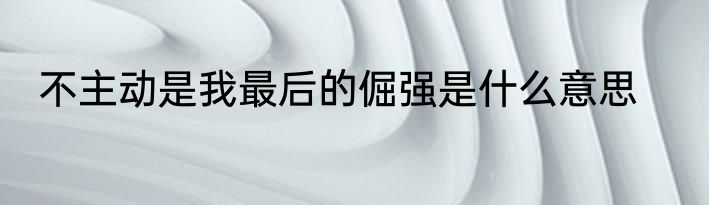 不主动是我最后的倔强是什么意思