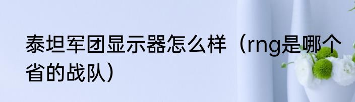 泰坦军团显示器怎么样（rng是哪个省的战队）