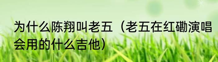 为什么陈翔叫老五（老五在红磡演唱会用的什么吉他）
