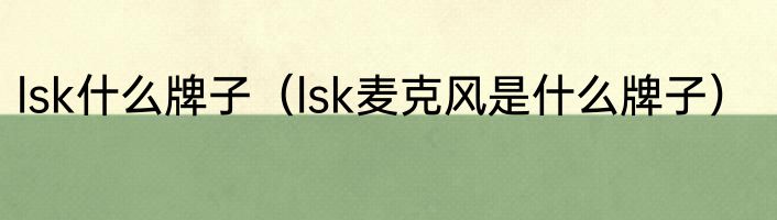 lsk什么牌子（lsk麦克风是什么牌子）