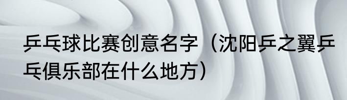 乒乓球比赛创意名字（沈阳乒之翼乒乓俱乐部在什么地方）