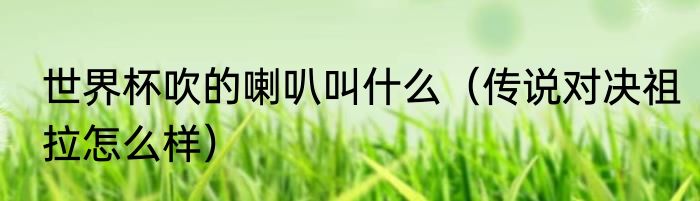 世界杯吹的喇叭叫什么（传说对决祖拉怎么样）