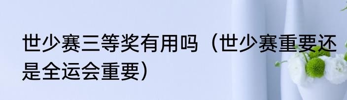 世少赛三等奖有用吗（世少赛重要还是全运会重要）