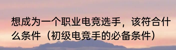 想成为一个职业电竞选手，该符合什么条件（初级电竞手的必备条件）