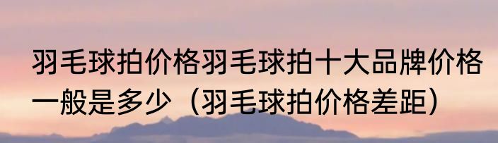 羽毛球拍价格羽毛球拍十大品牌价格一般是多少(羽毛球拍价格差距)