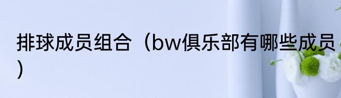 排球成员组合（bw俱乐部有哪些成员）