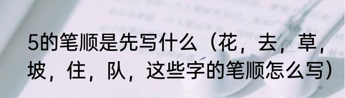 5的笔顺是先写什么（花，去，草，坡，住，队，这些字的笔顺怎么写）