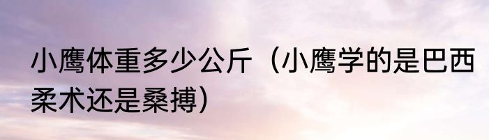 小鹰体重多少公斤（小鹰学的是巴西柔术还是桑搏）