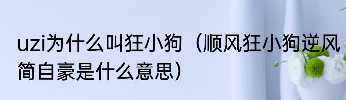uzi为什么叫狂小狗（顺风狂小狗逆风简自豪是什么意思）