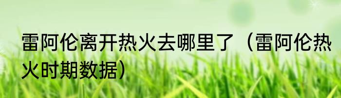 雷阿伦离开热火去哪里了（雷阿伦热火时期数据）