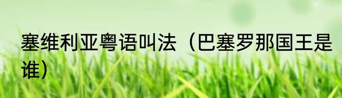 塞维利亚粤语叫法（巴塞罗那国王是谁）