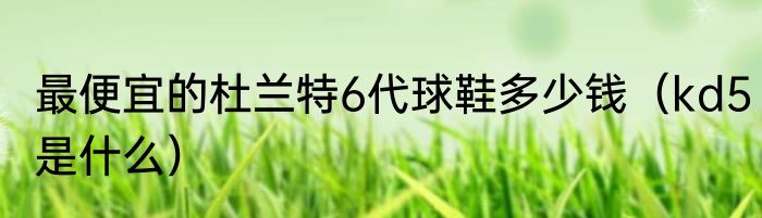 最便宜的杜兰特6代球鞋多少钱（kd5是什么）