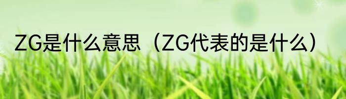 ZG是什么意思（ZG代表的是什么）