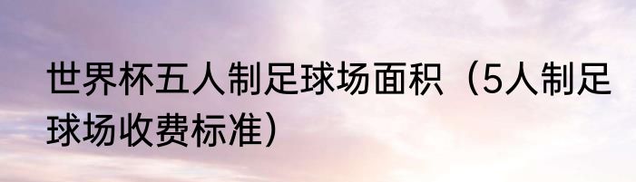 世界杯五人制足球场面积（5人制足球场收费标准）