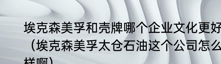 埃克森美孚和壳牌哪个企业文化更好（埃克森美孚太仓石油这个公司怎么样啊）