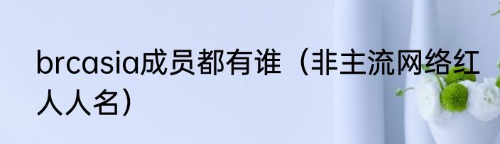 brcasia成员都有谁（非主流网络红人人名）