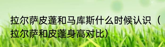 拉尔萨皮蓬和马库斯什么时候认识（拉尔萨和皮蓬身高对比）