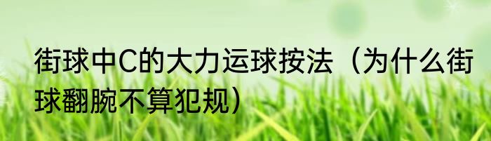 街球中C的大力运球按法（为什么街球翻腕不算犯规）