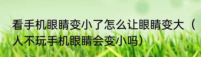看手机眼睛变小了怎么让眼睛变大（人不玩手机眼睛会变小吗）