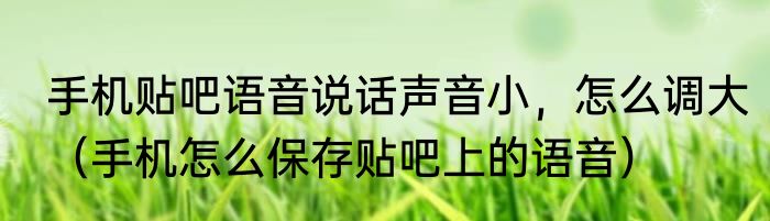 手机贴吧语音说话声音小，怎么调大（手机怎么保存贴吧上的语音）