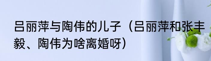 吕丽萍与陶伟的儿子（吕丽萍和张丰毅、陶伟为啥离婚呀）