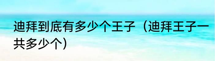 迪拜到底有多少个王子（迪拜王子一共多少个）