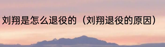 刘翔是怎么退役的（刘翔退役的原因）