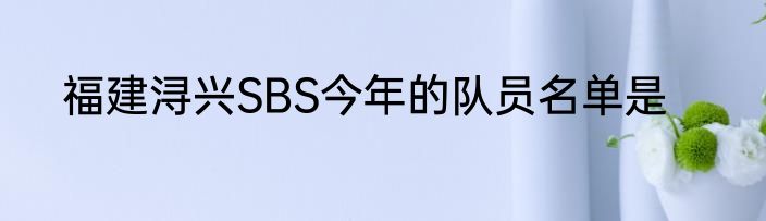 福建浔兴SBS今年的队员名单是