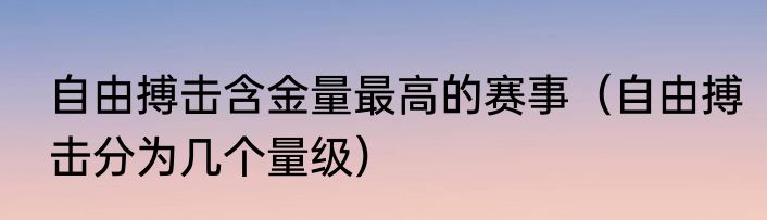 自由搏击含金量最高的赛事（自由搏击分为几个量级）