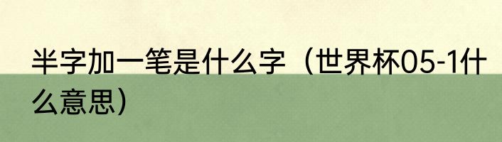 半字加一笔是什么字（世界杯05-1什么意思）