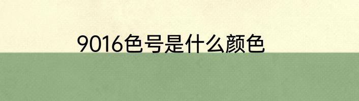 9016色号是什么颜色