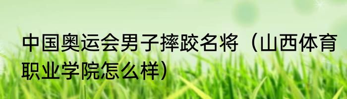 中国奥运会男子摔跤名将（山西体育职业学院怎么样）