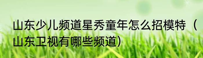 山东少儿频道星秀童年怎么招模特（山东卫视有哪些频道）