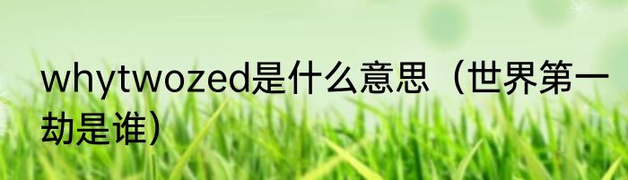 whytwozed是什么意思（世界第一劫是谁）