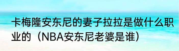卡梅隆安东尼的妻子拉拉是做什么职业的（NBA安东尼老婆是谁）