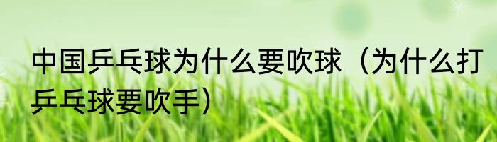 中国乒乓球为什么要吹球（为什么打乒乓球要吹手）