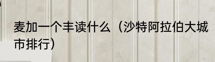 麦加一个丰读什么（沙特阿拉伯大城市排行）