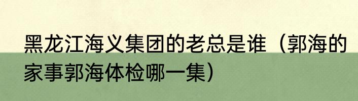 黑龙江海义集团的老总是谁（郭海的家事郭海体检哪一集）