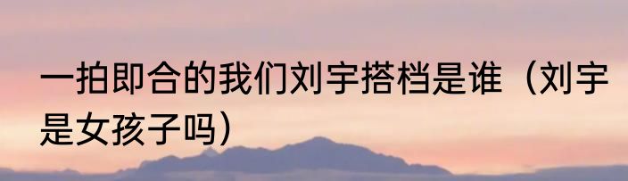 一拍即合的我们刘宇搭档是谁（刘宇是女孩子吗）