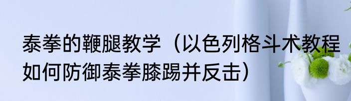 泰拳的鞭腿教学（以色列格斗术教程如何防御泰拳膝踢并反击）