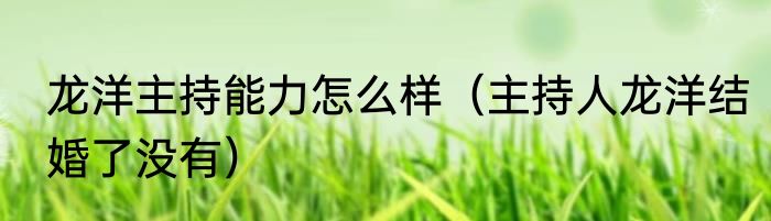 龙洋主持能力怎么样（主持人龙洋结婚了没有）