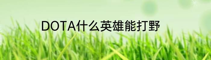 DOTA什么英雄能打野