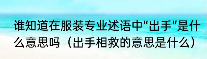 谁知道在服装专业述语中“出手”是什么意思吗（出手相救的意思是什么）