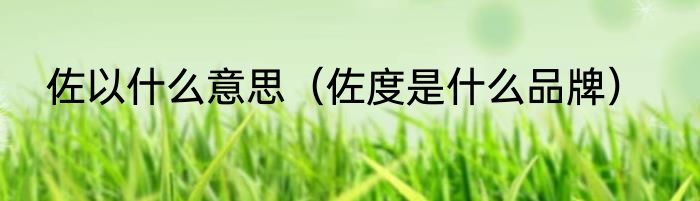 佐以什么意思（佐度是什么品牌）