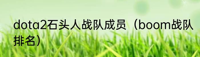 dota2石头人战队成员（boom战队排名）